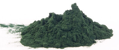 spirulinePoudre