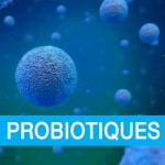 bienfaits des probiotiques