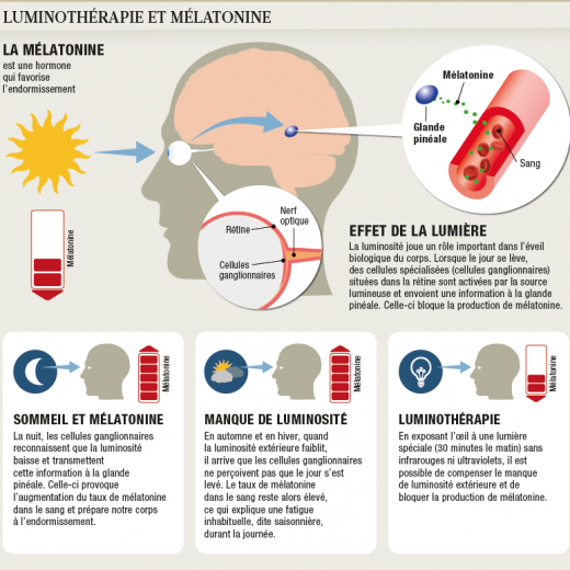 Action de la mélatonine - luminothérapie