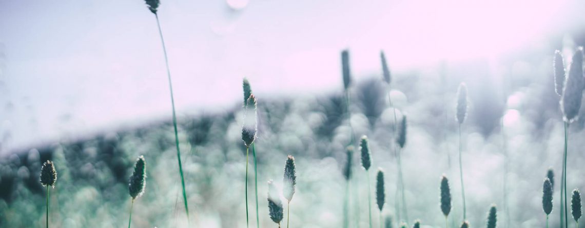 zanatura-blog-allergie-1