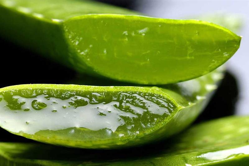 Gros plan sur gel d'Aloe vera